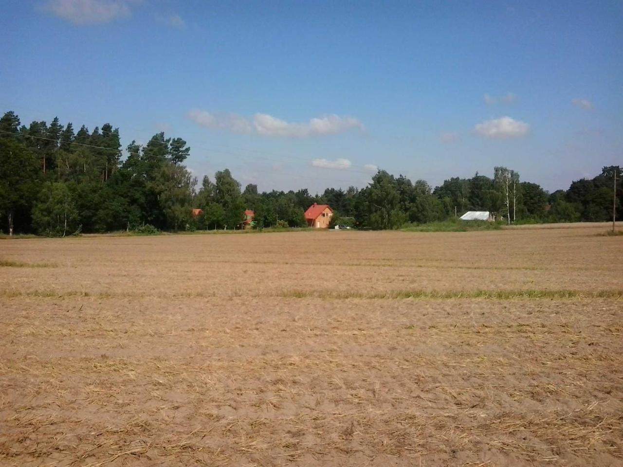 Ferienwohnung Holzmichel&Pinocchio Lärz Exterior foto